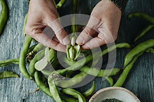 man takes some broad beans out of its pod