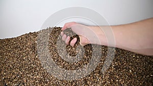 Man takes watermelon seeds in his palm and pours them into a pile.