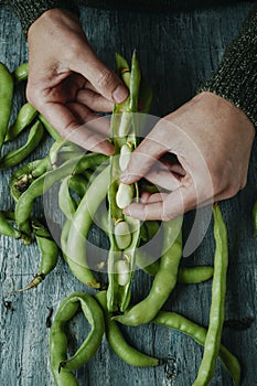 man taking broad beans out of the pod