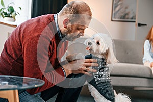 Man is taking care of his maltese dog. Girl is sitting on the sofa