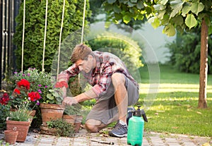 Man taking care of plants in garden