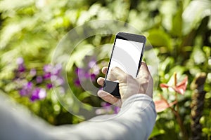 Man taking photo picture by mobile phone in a travel journey, green plants in a park. Focused on phone screen. Blank screen space