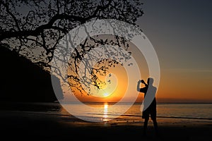 Man taking picture of sunset, beautiful red sky with the shadow of a big tree on the beach