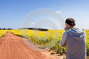 Man taking pictures with camera at canola paddocks. Yellow canola flowers at summer time. Canola is used to produce cooking oil,