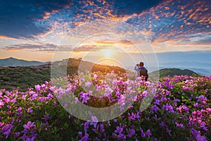 A man is taking the pictures of the first light in Morning and spring view of pink azalea flowers at Hwangmaesan Mountain with the