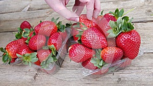 Man taking strawberries from plastic box