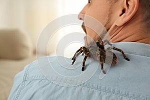 Man with tarantula at home. Arachnophobia fear of spiders