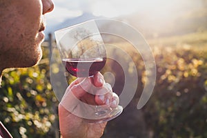 Man tasting red wine in wineyard