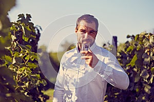 Man tasting white wine