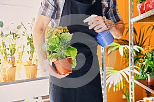 A man watering flowers in a pot.