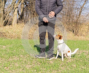 a man teaches commands to his dog