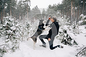 Man teaching commands his Husky dog