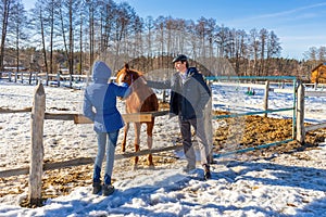 Man and teenage girl with horse at ranch in winter sunny day. Father and daughter spending winter weekend at farm. Trip to