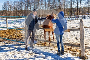 Man and teenage girl with horse at ranch in winter sunny day. Father and daughter spending winter weekend at farm. Trip to