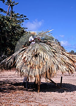 Man thatching a parasol, Tobago.