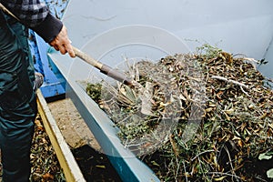 man throwing plant remains into a large container photo