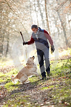 Man Throwing Stick For Dog On Walk