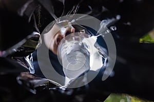 Man throws garbage into a garbage can on the street. With a worm view from the inside of the trash bin. Selective focus