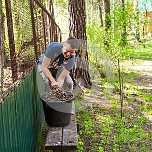 A man throws old leaves in the garden