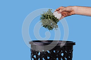 A man throws out a potted flower