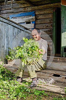 Man ties birch brooms for a bath sitting on a wooden porch of an old country house in a Siberian village, Russia