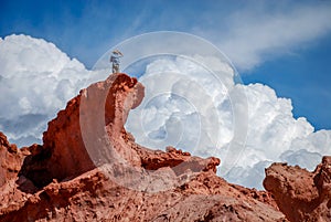 Man on top of a rock formation at Quebrada del rio de las Conch