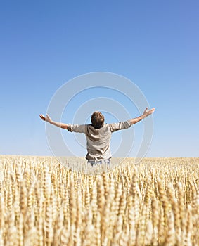 Muž sveta v pšenica 