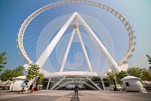 The man tourist threw up her hands in delight at the sight Ain Eye DUBAI - One of the largest Ferris Wheels in the World,