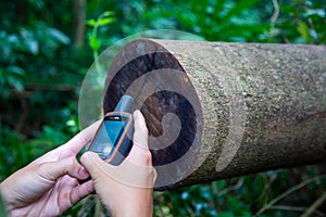 Handheld GPS in tropical jungle