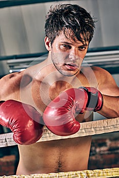 Man training gym boxing mma ring shadow boxing mixed martial art