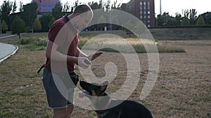 Man training his dog playing ball in the dog park without leash, training the dog