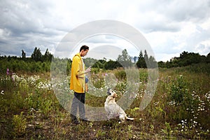 Man training Labrador Retriever on green meadow