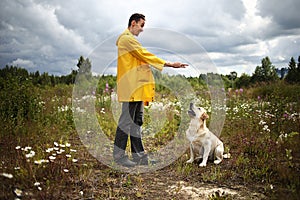 Man training Labrador Retriever on green meadow