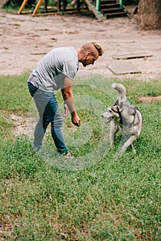 man training obedience with siberian husky