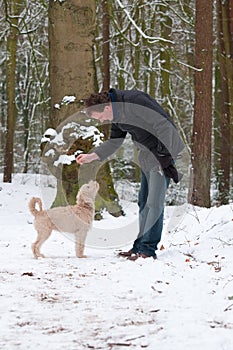 Man training puppy