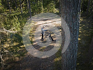 A man trains a Siberian husky dog in the forest in summer