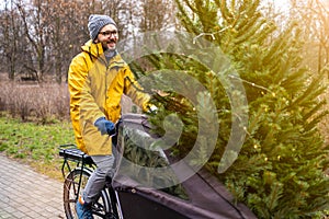 Man transporting Christmas tree on bicycle