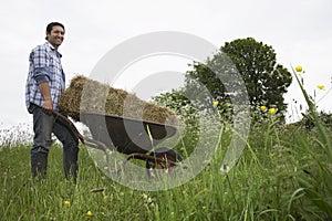 Man transporting hay on wheelbarrow in field