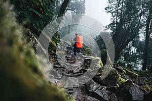 Man traveler with rain cover and trekking poles walks across mountains foggy forest. Solo tourist traveling by mountain track