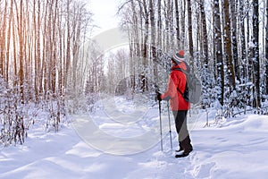 Man traveler standing in snow-covered winter nature, looking at sunset.
