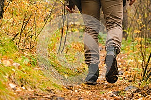 A man traveler walks along forest path in hiking boots. Tourism and adventure concept. Horizontal frame