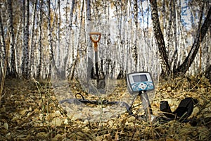 Man on a treasure hunt with a metal detector in the woods on the field