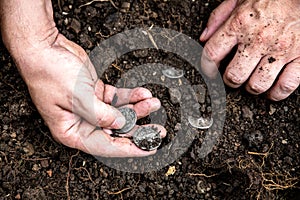 man or treasure hunter finds old coins