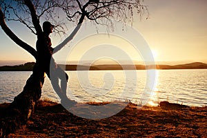 Man on tree. Silhouette of lone man sit on branch of birch tree at sunset at shoreline.