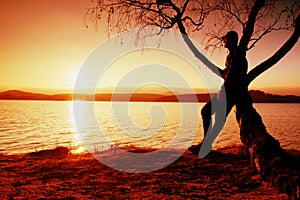 Man on tree. Silhouette of lone man sit on branch of birch tree at sunset at shoreline.