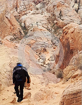 Man trekking around White Rock in Valley of Fire State Park