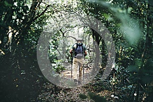 Man trekking in a forest