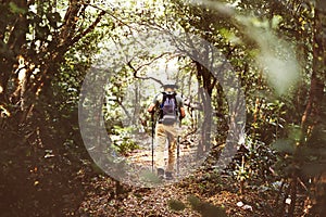 Man trekking in a forest