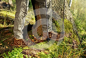 Man with trekking poles hiking in forest, closeup