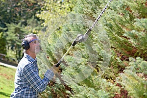 man trimming hedge